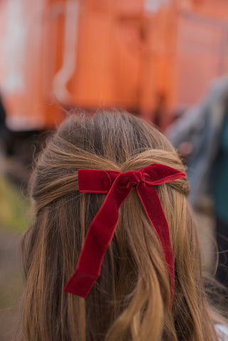 A pair of burgundy hair clip/ties