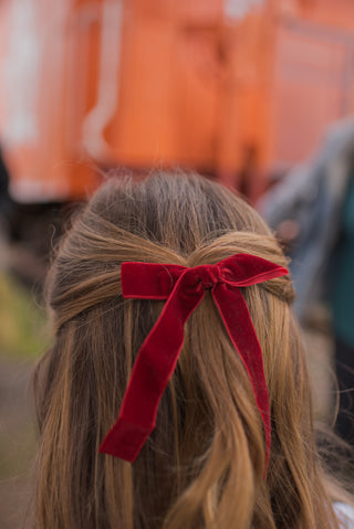 A pair of burgundy hair clip/ties