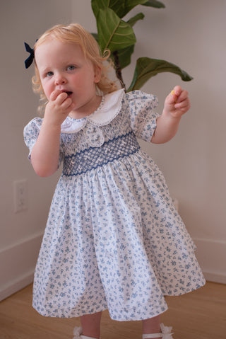 Charlotte 20S - blue floral