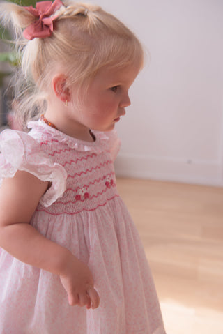 A pair of pink hair clip