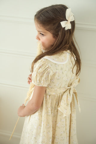 Glory hair clip